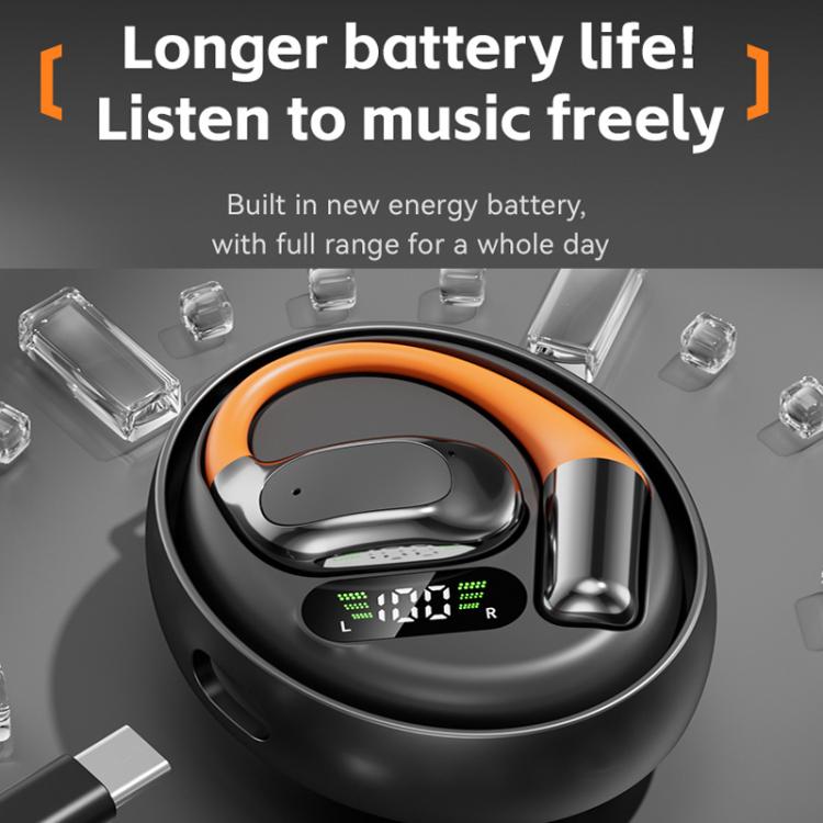 Real Time AI Translation Earbuds