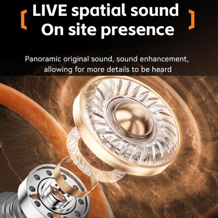 Real Time AI Translation Earbuds