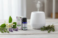 Plant Based Aroma Oil - Anti Stress