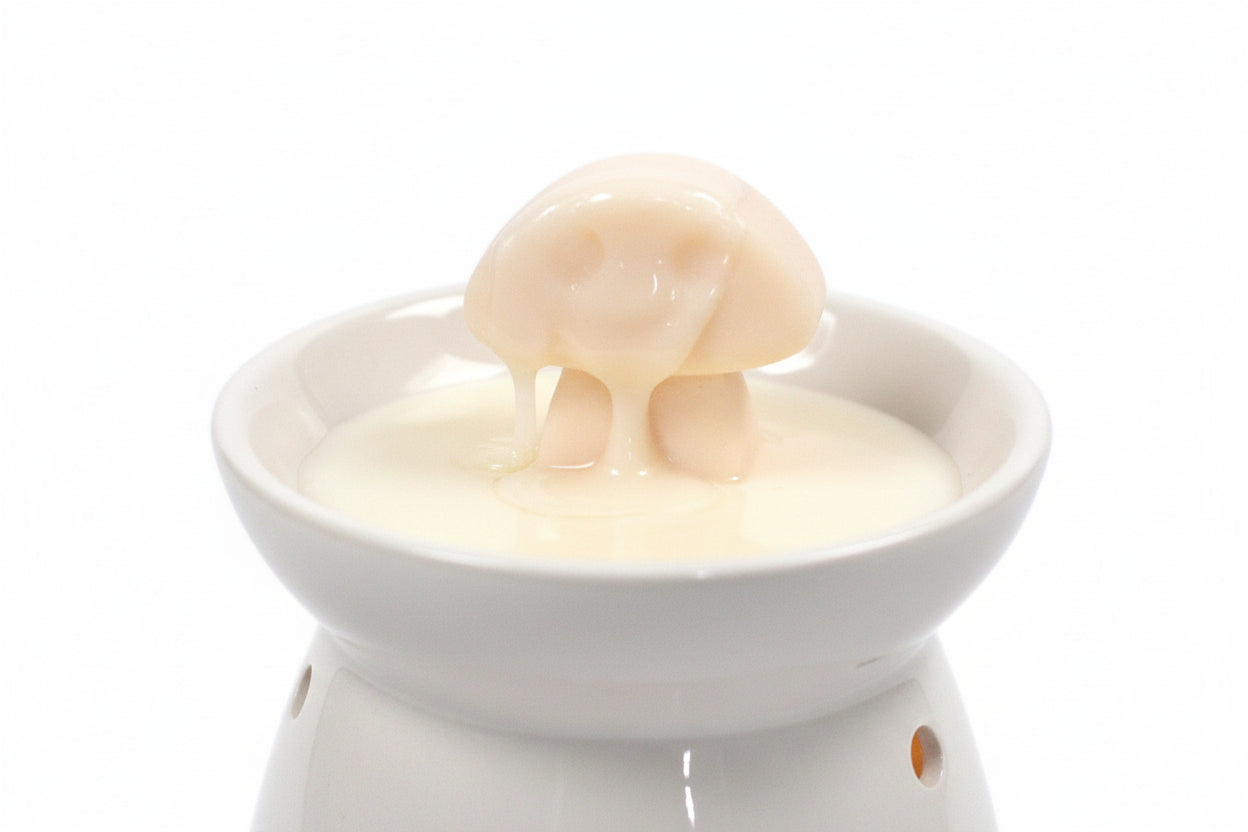 Vanilla Nutmeg Wax Melts