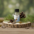 Fragrance Oil 10ml - Pine