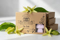 Ylang Ylang Wax Melts