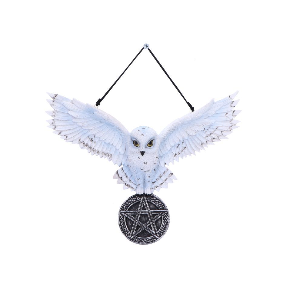 Owl Talisman Hanging Decoration