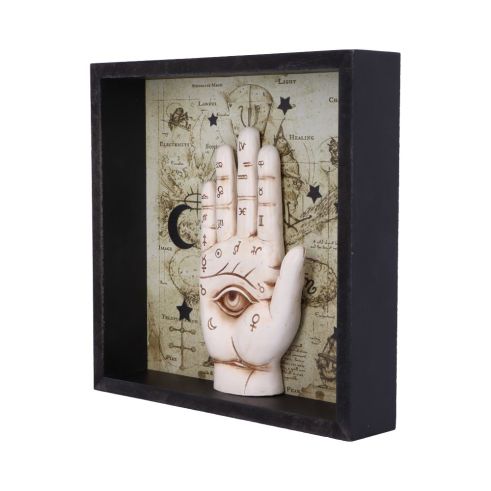 Palmistry Framed Chiromancy Wall Art