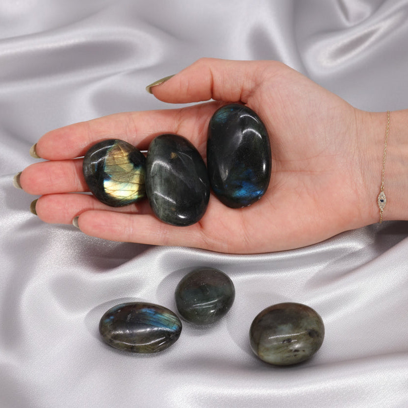 Time Out - Grounding & Protection Kit